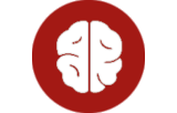 In situ hybridization probes - Brain and neural pathology