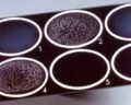 Latex agglutination assays for mycology