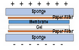 Blotting papers