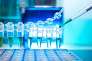 qPCR para diagnóstico