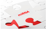 miRNA