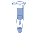 Viral genomic DNA extraction - Spin-column