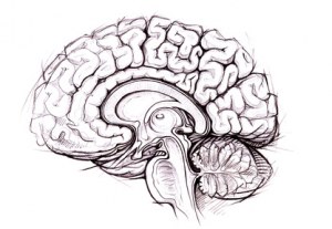 Histona H3 K27M en gliomas